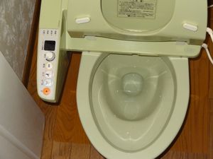 121215Toilet1