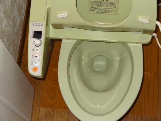 121215Toilet1