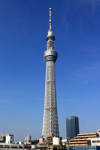 SkyTree1