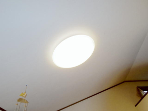Ceiling Light1