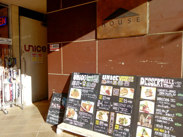UNICE1