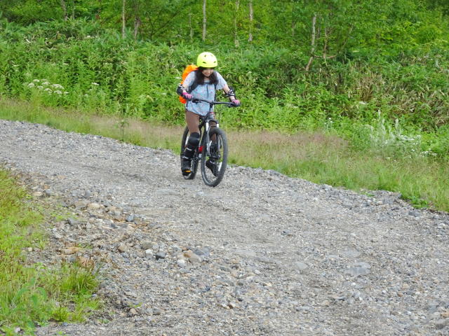 Bike_Downhill