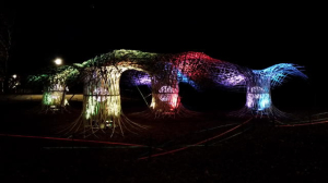 LightUp1
