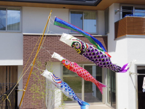 210418Koinobori