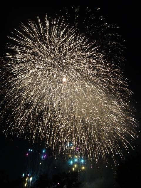 Fireworks1