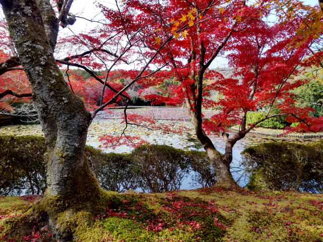 Ryoanji