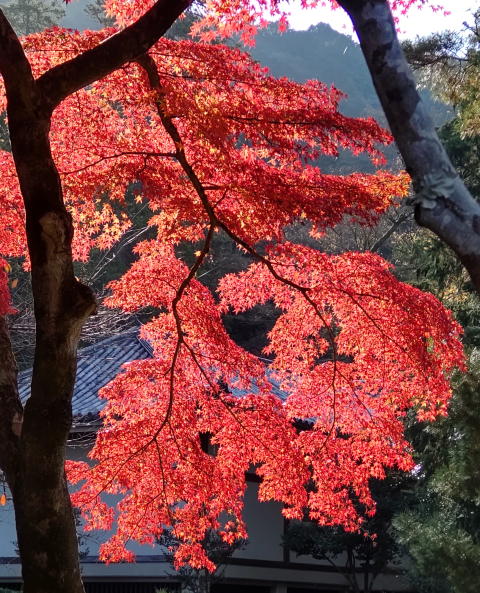 Nanzenji