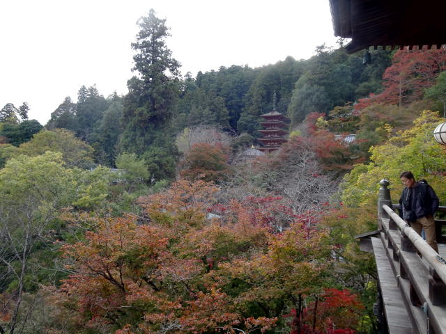 Nara01_03