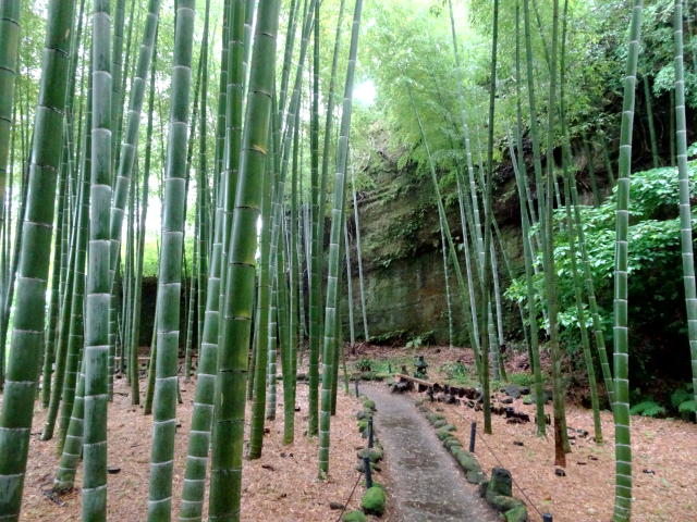 Kamakura02