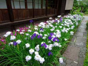 Kamakura01