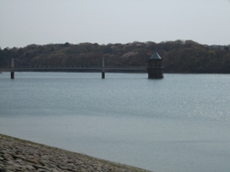 Sayama_lake